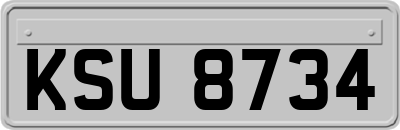 KSU8734