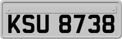 KSU8738