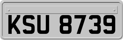 KSU8739