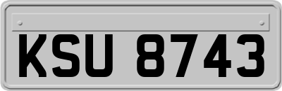 KSU8743