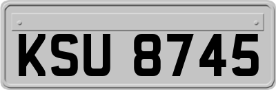 KSU8745