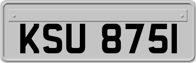 KSU8751