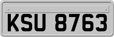 KSU8763