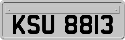 KSU8813