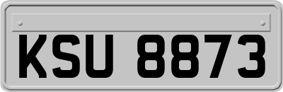 KSU8873