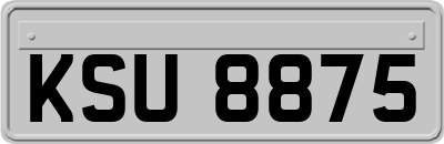 KSU8875