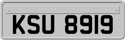 KSU8919