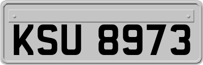 KSU8973