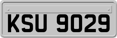 KSU9029