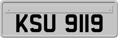 KSU9119
