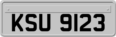 KSU9123