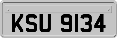 KSU9134