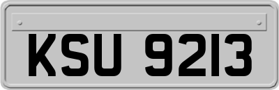 KSU9213