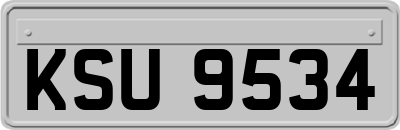 KSU9534