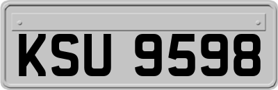 KSU9598