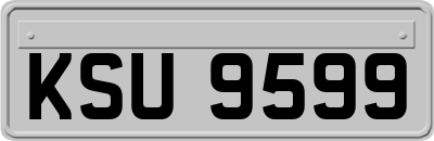 KSU9599