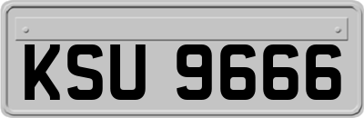 KSU9666