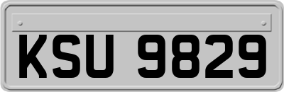 KSU9829