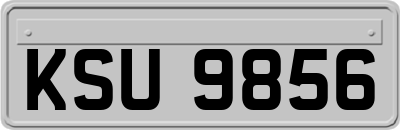 KSU9856