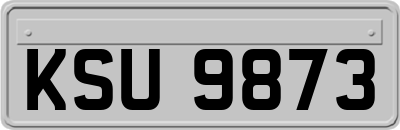 KSU9873