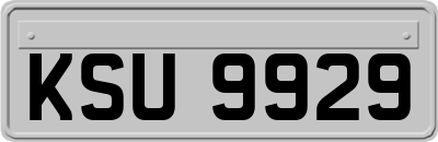 KSU9929
