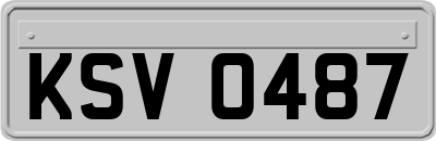 KSV0487