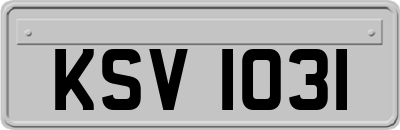 KSV1031