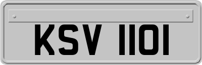 KSV1101