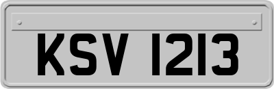 KSV1213