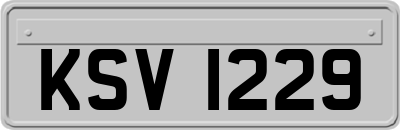 KSV1229