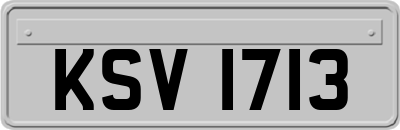 KSV1713