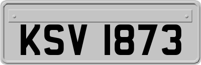 KSV1873