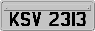 KSV2313