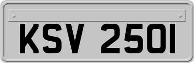 KSV2501