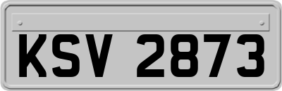KSV2873