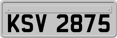 KSV2875
