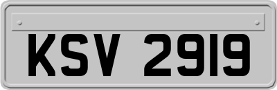 KSV2919