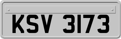 KSV3173