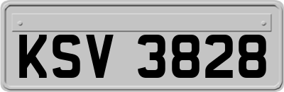 KSV3828