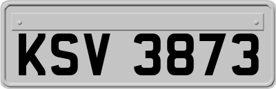 KSV3873
