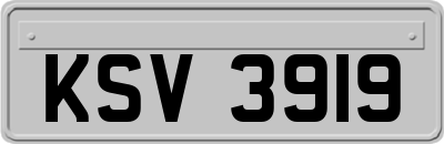 KSV3919