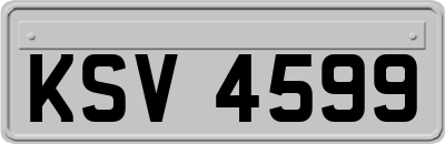 KSV4599