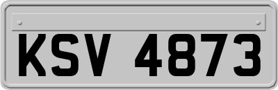 KSV4873