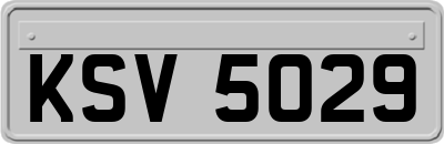 KSV5029