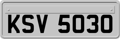 KSV5030