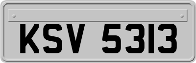KSV5313
