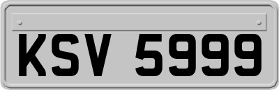 KSV5999
