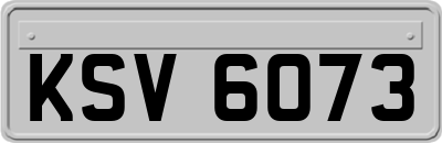 KSV6073