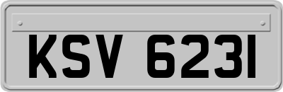KSV6231
