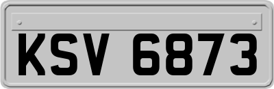 KSV6873